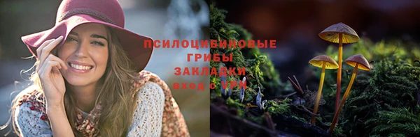 ECSTASY Рославль
