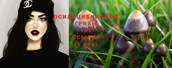 Альфа ПВП Россошь