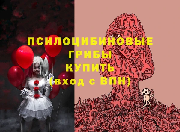Альфа ПВП Россошь