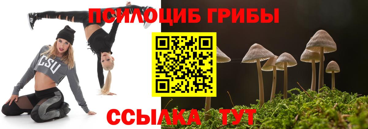 Россошь  Псилоцибиновые грибы Psilocybe  Вход с VPN 