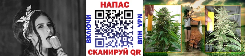 где найти   Россошь  Канабис OG Kush 